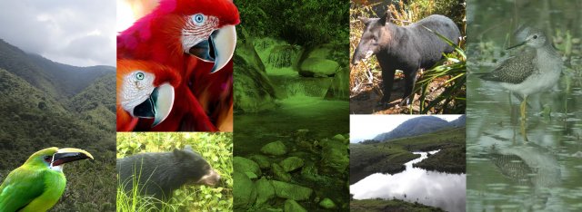 biodiversidad fondo